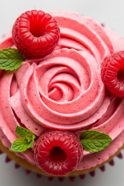 Raspberry Cupcake Rose